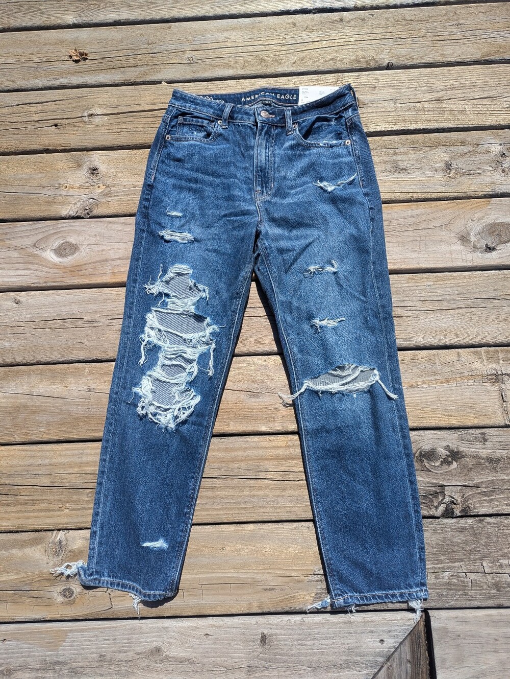 American Eagle NWT Strigid Mom Jean with embroidery size 6